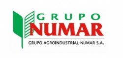 Grupo Numar